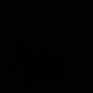 Meet your Posher, Zaydalee